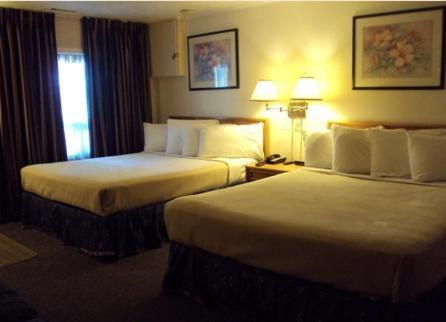 Twin Peaks Motel Napanee Eksteriør billede