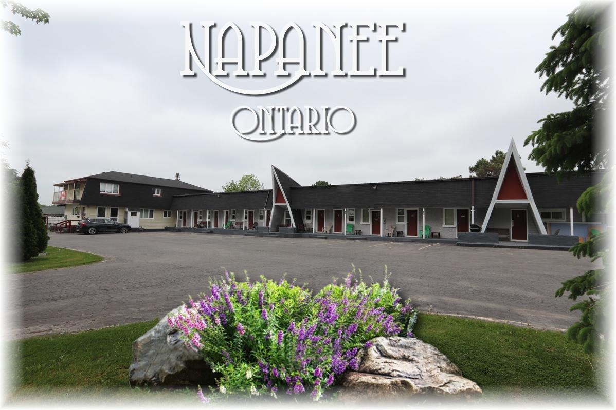 Twin Peaks Motel Napanee Eksteriør billede